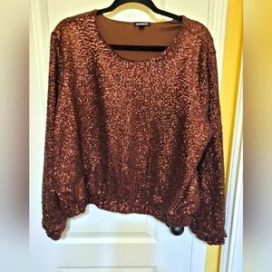Brown Sequin Top by Express XLarge